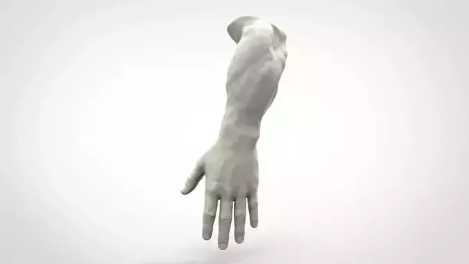 Realistic Human Hand 3D print model