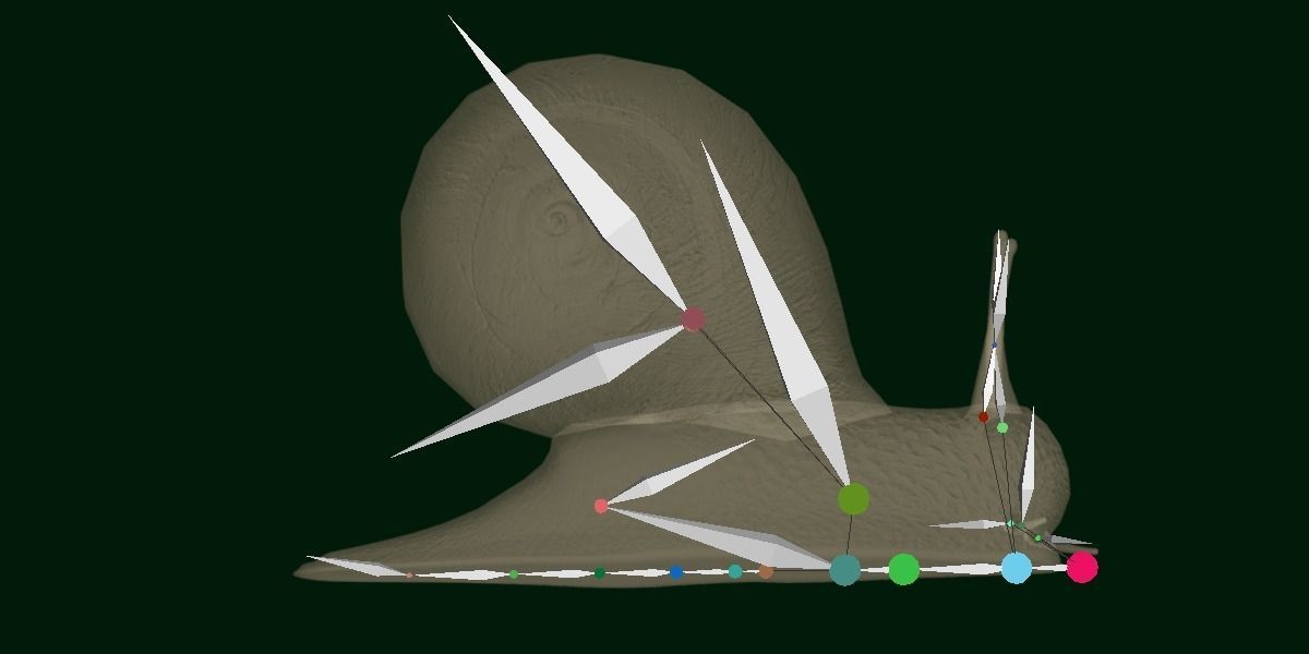 Swinhoe Giant Snail Gastropod Low-poly 3D model_19