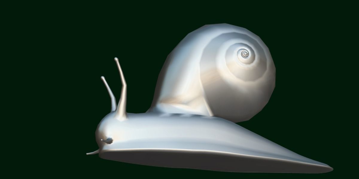 Swinhoe Giant Snail Gastropod Low-poly 3D model_4