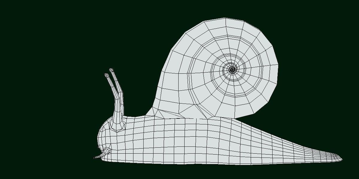 Swinhoe Giant Snail Gastropod Low-poly 3D model_7