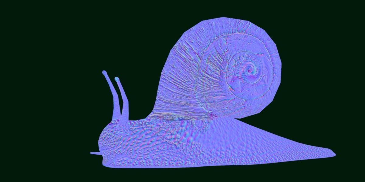 Swinhoe Giant Snail Gastropod Low-poly 3D model_24