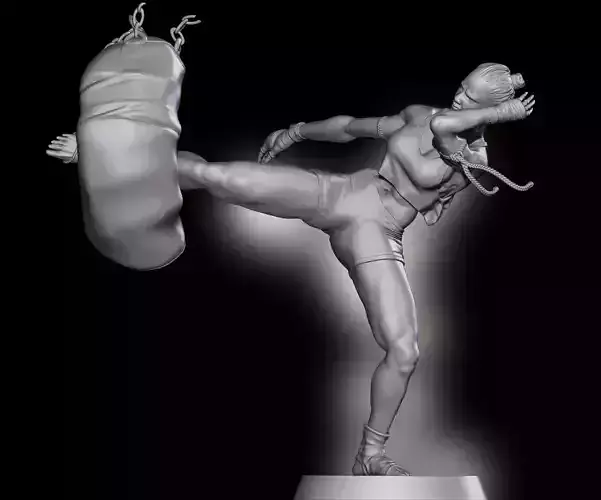 Mai Tai Fighter 3D print model