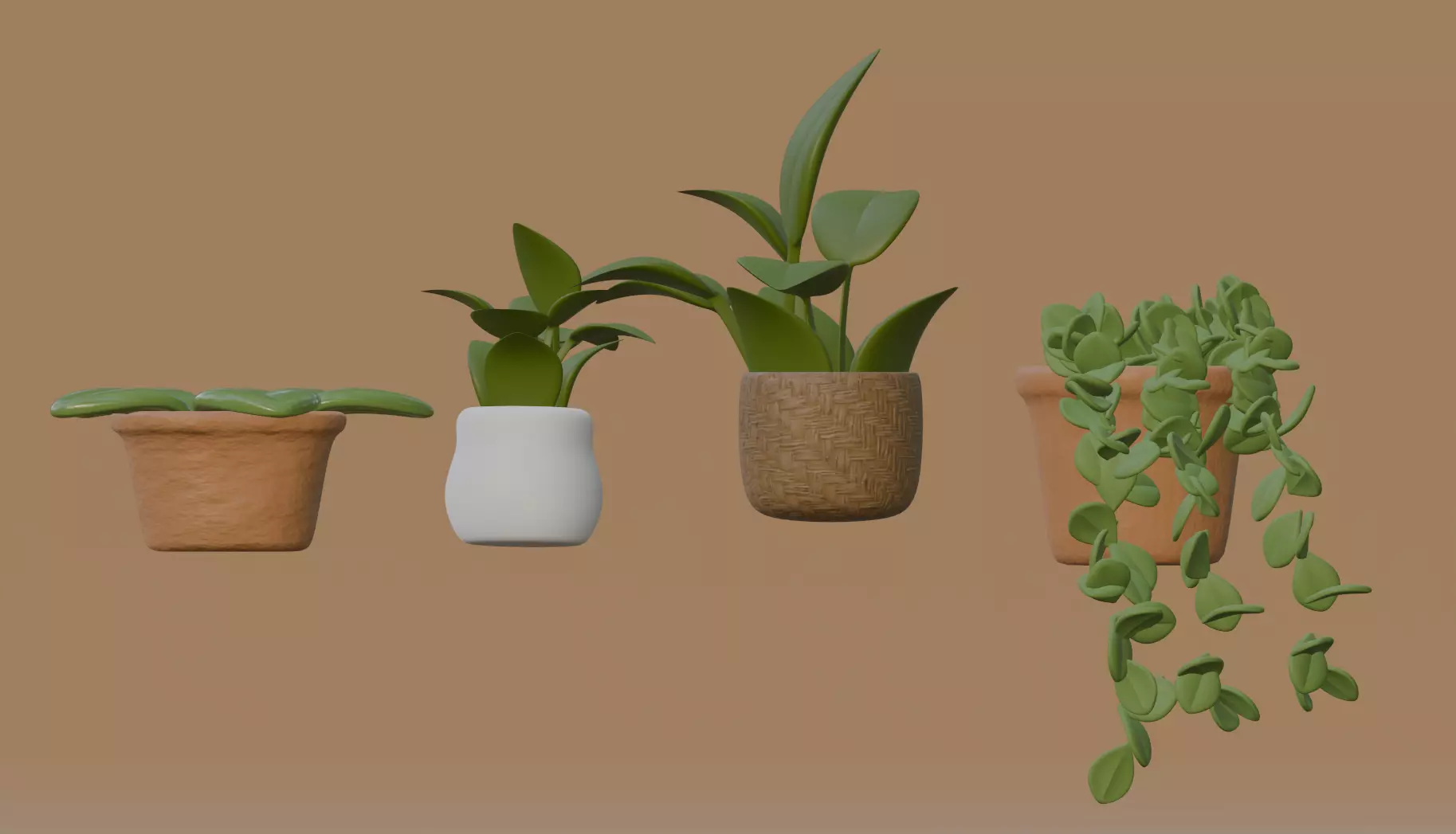 Indoor plants 3D model_0