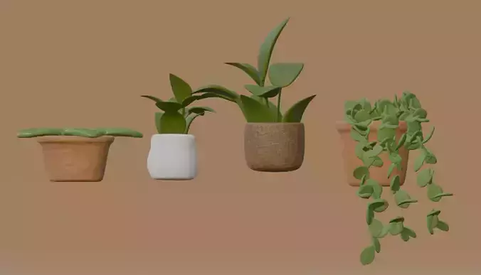 Indoor plants