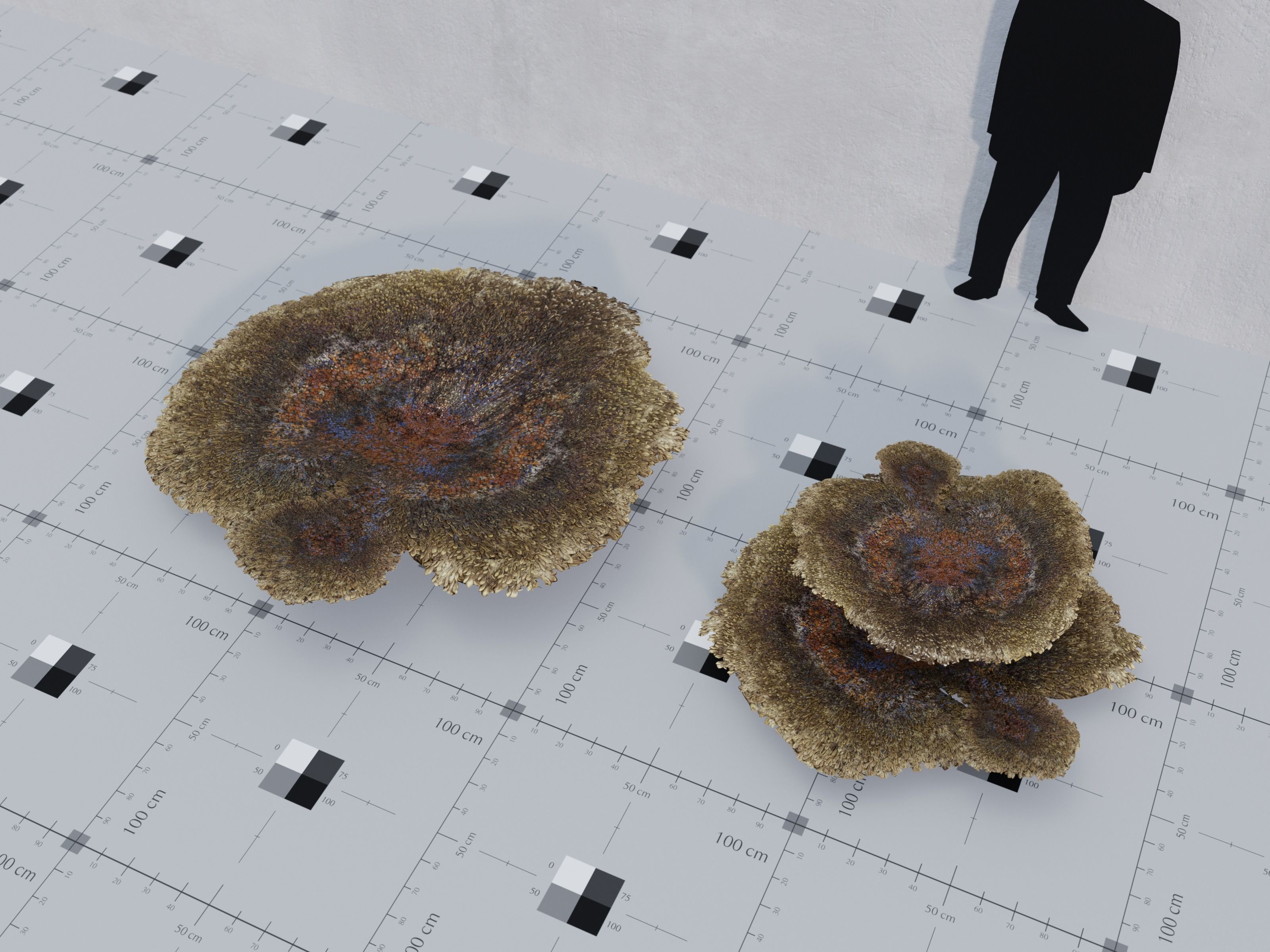 Nature Assets - Marine Biome Low-poly 3D model_5