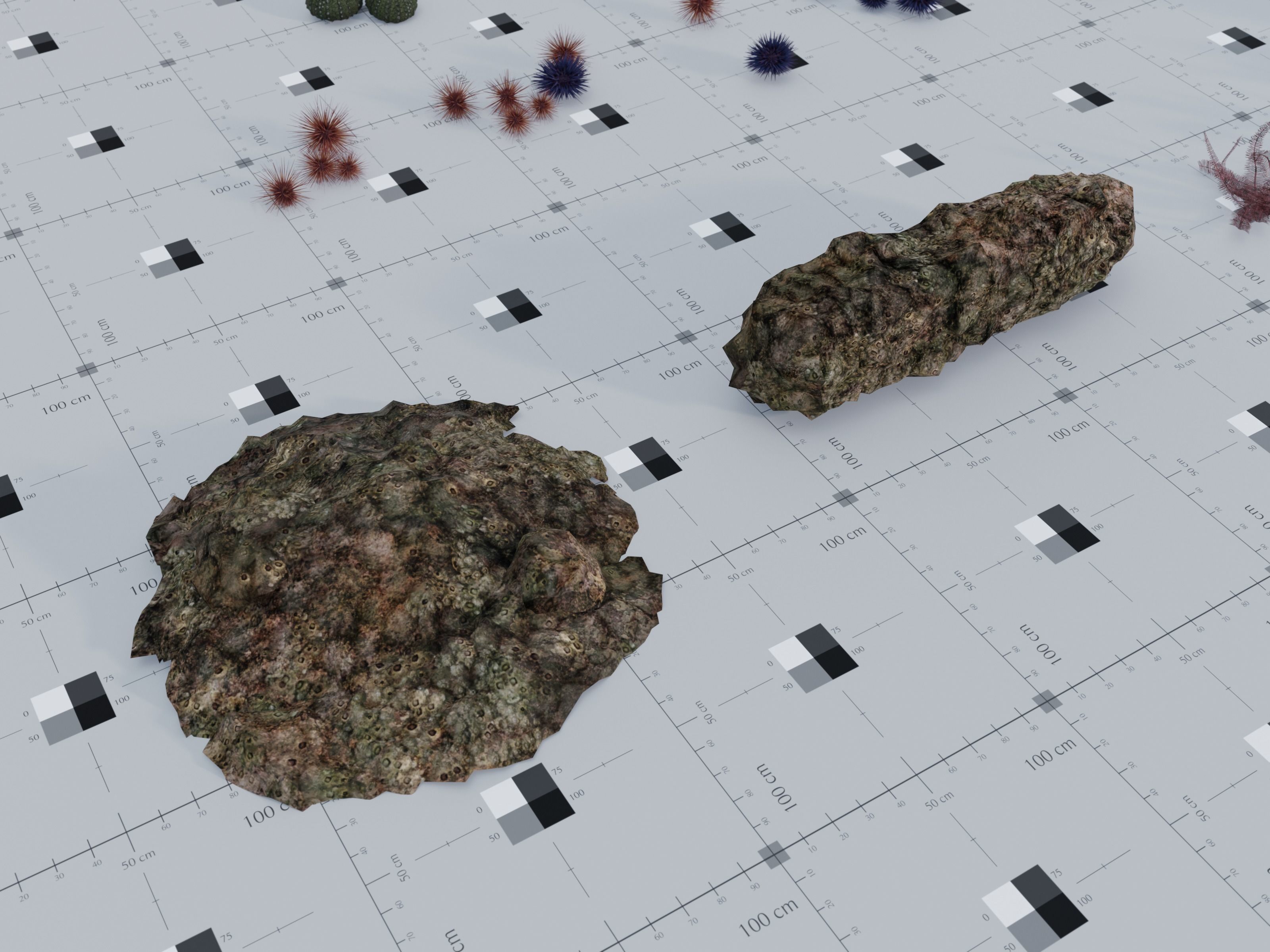 Nature Assets - Marine Biome Low-poly 3D model_15