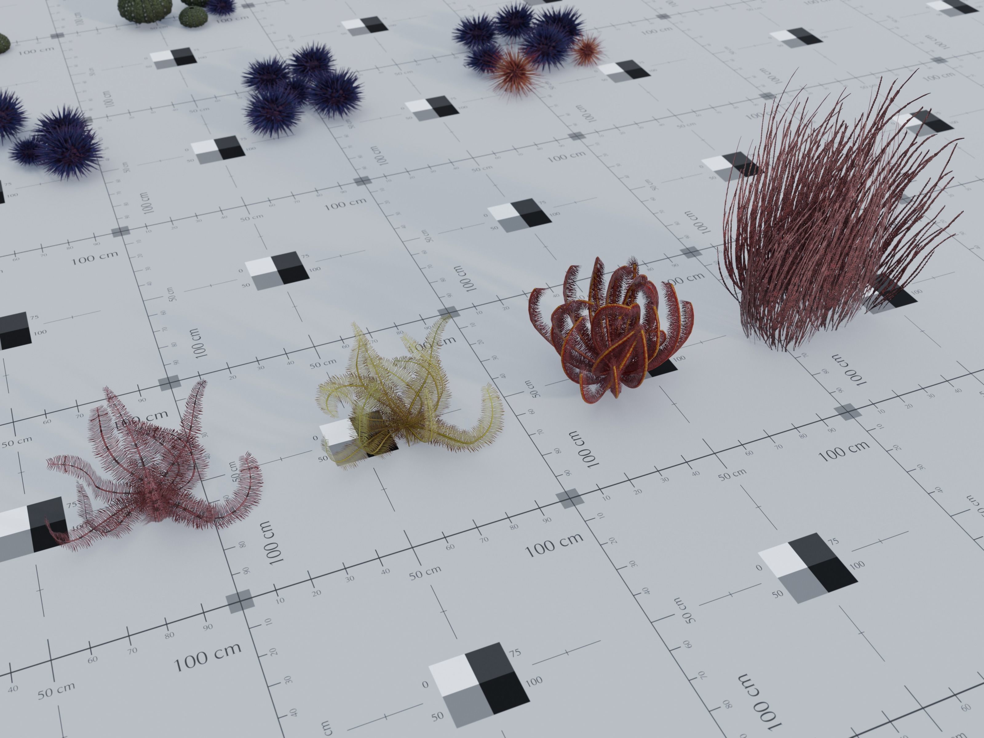 Nature Assets - Marine Biome Low-poly 3D model_12