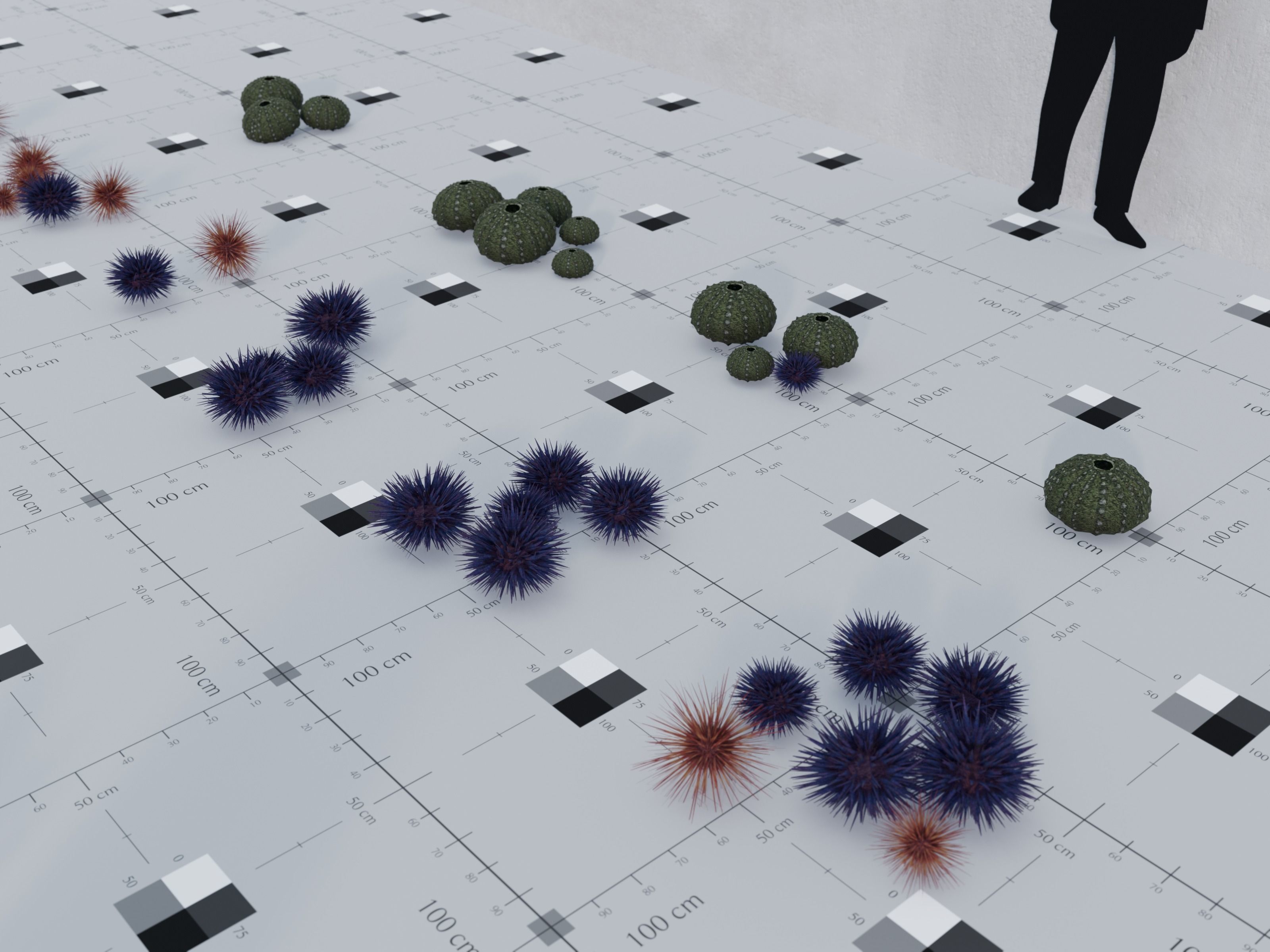 Nature Assets - Marine Biome Low-poly 3D model_13