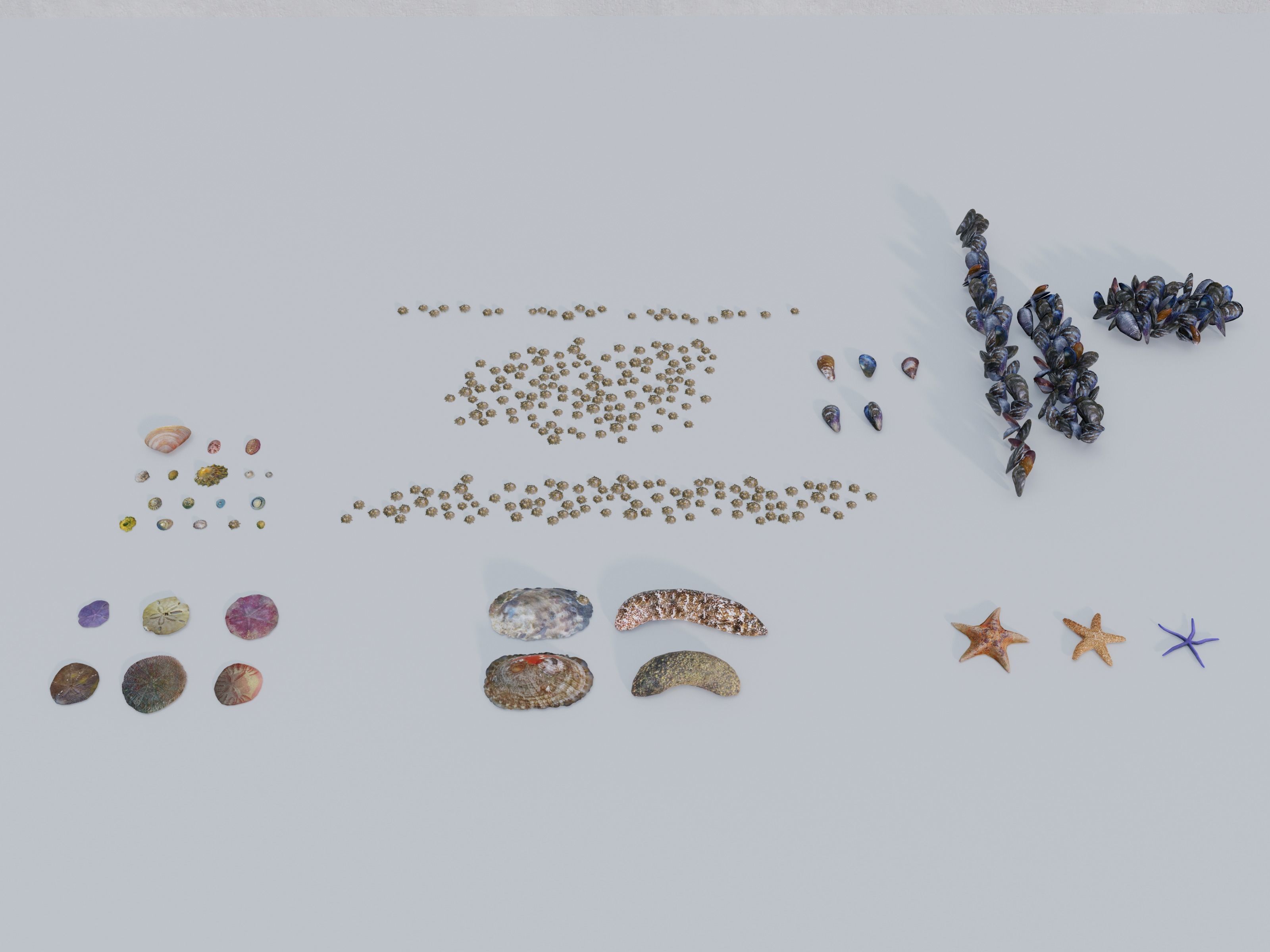 Nature Assets - Marine Biome Low-poly 3D model_3