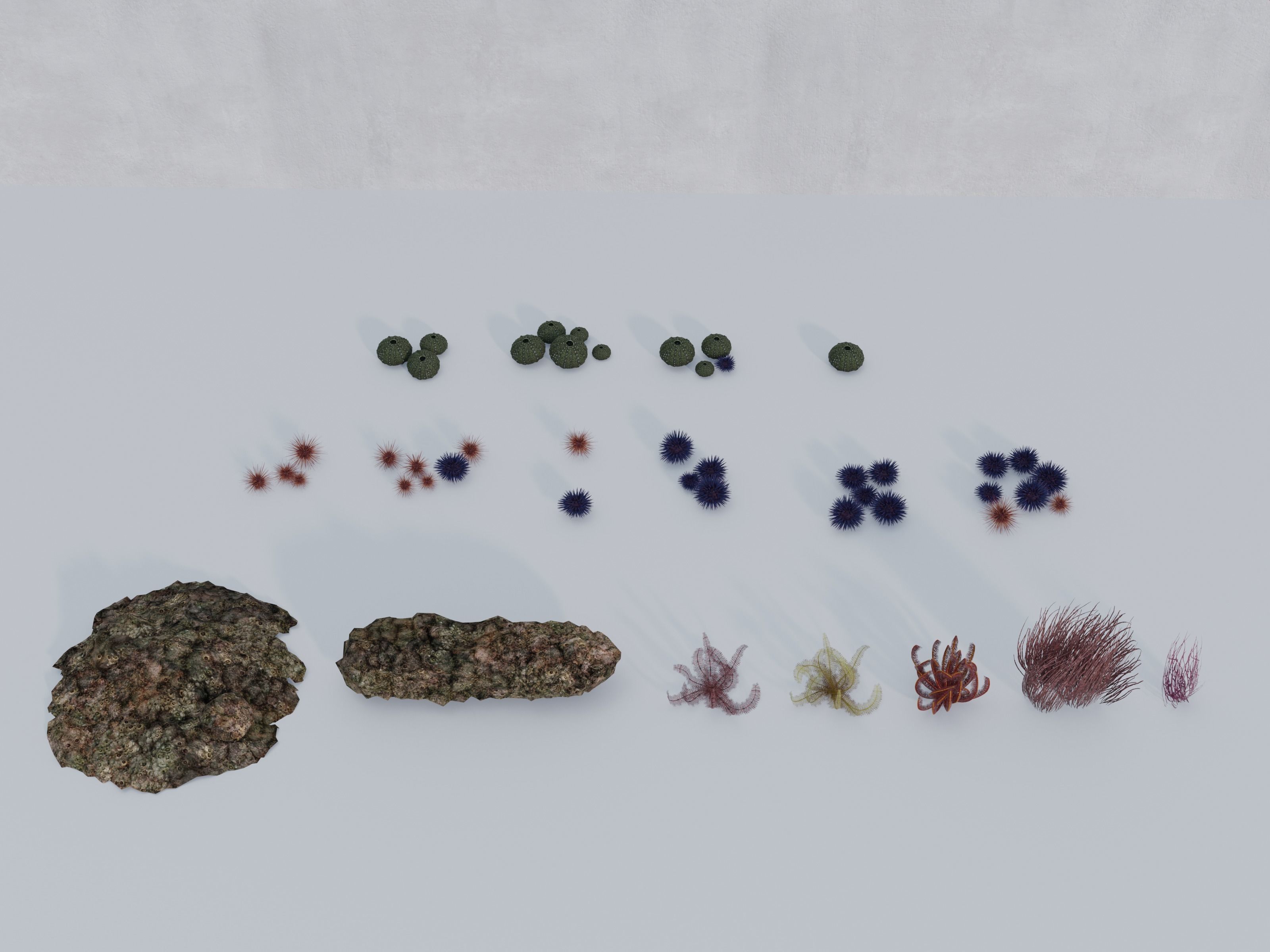 Nature Assets - Marine Biome Low-poly 3D model_2