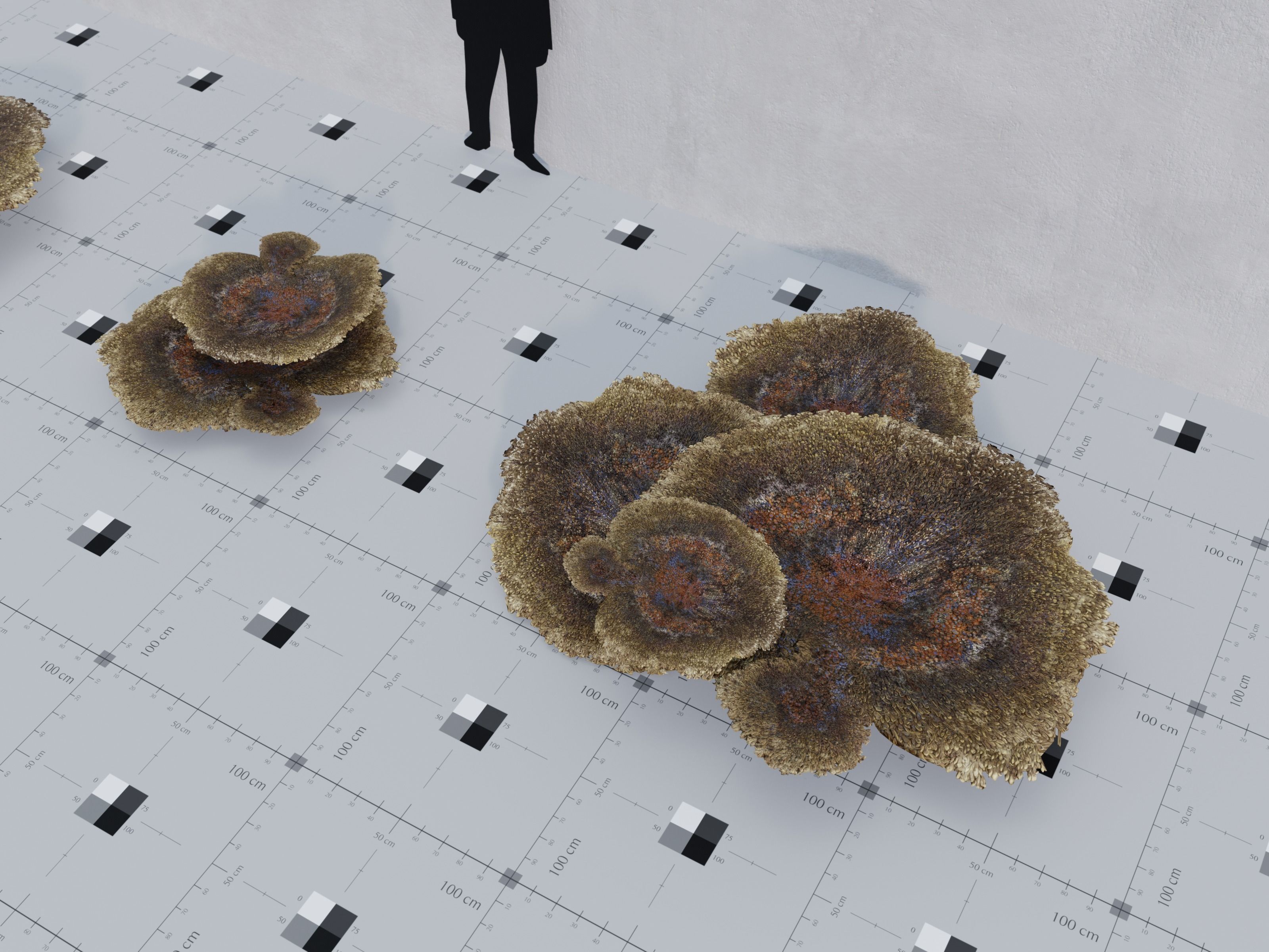 Nature Assets - Marine Biome Low-poly 3D model_6