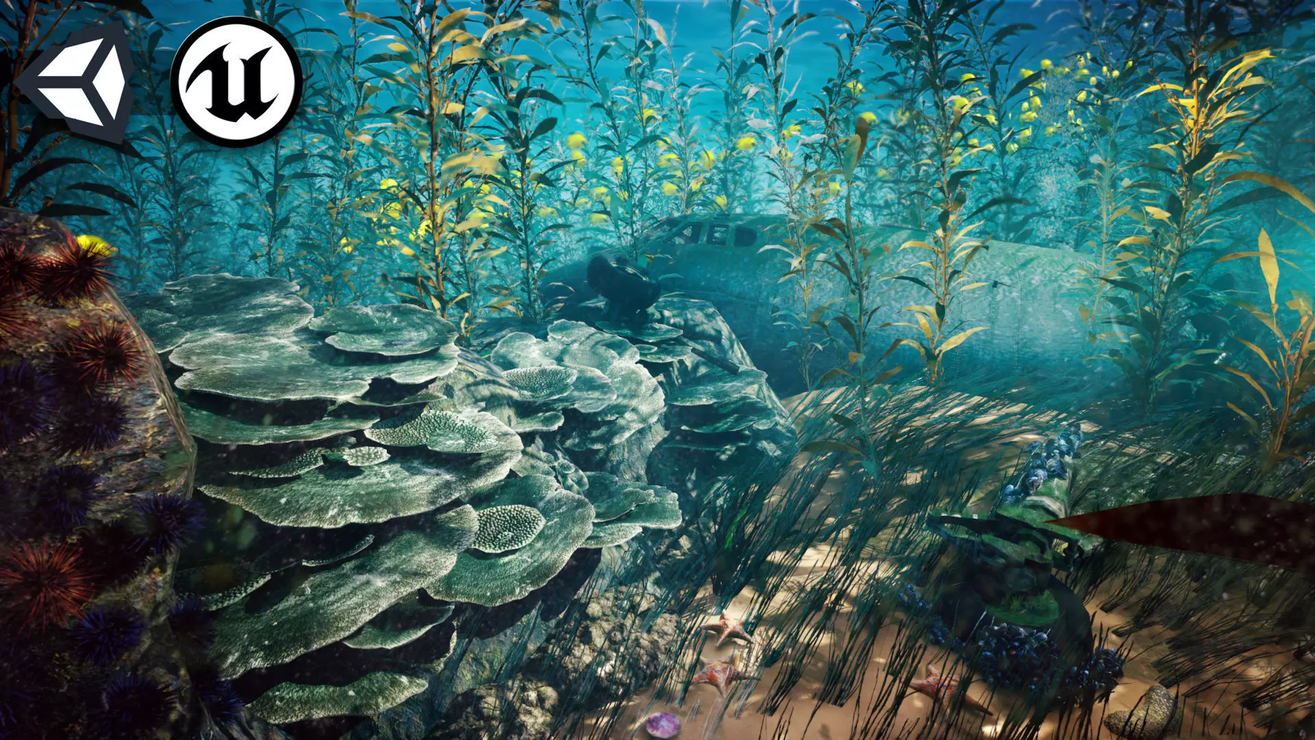 Nature Assets - Marine Biome Low-poly 3D model_0