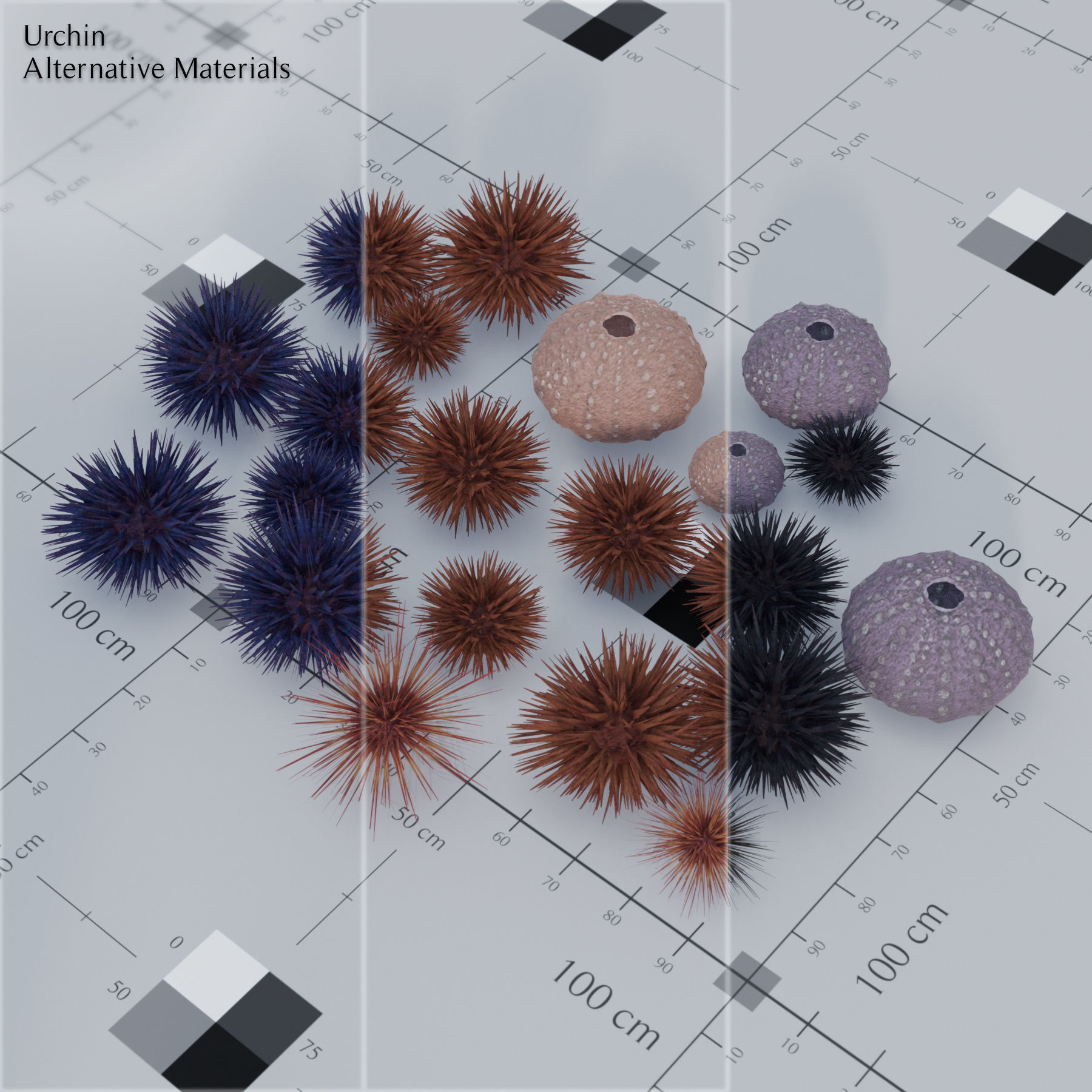 Nature Assets - Marine Biome Low-poly 3D model_14