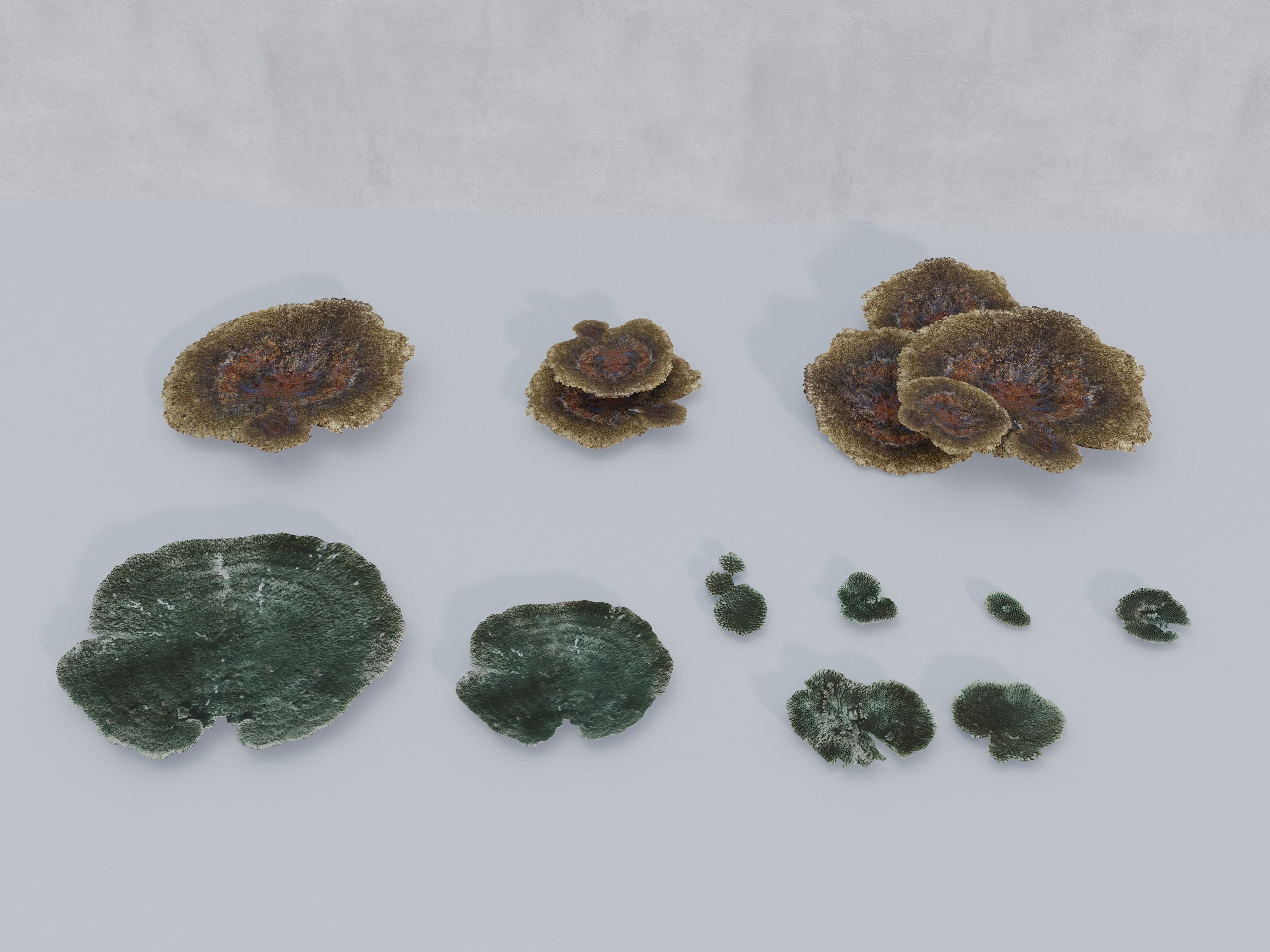 Nature Assets - Marine Biome Low-poly 3D model_1