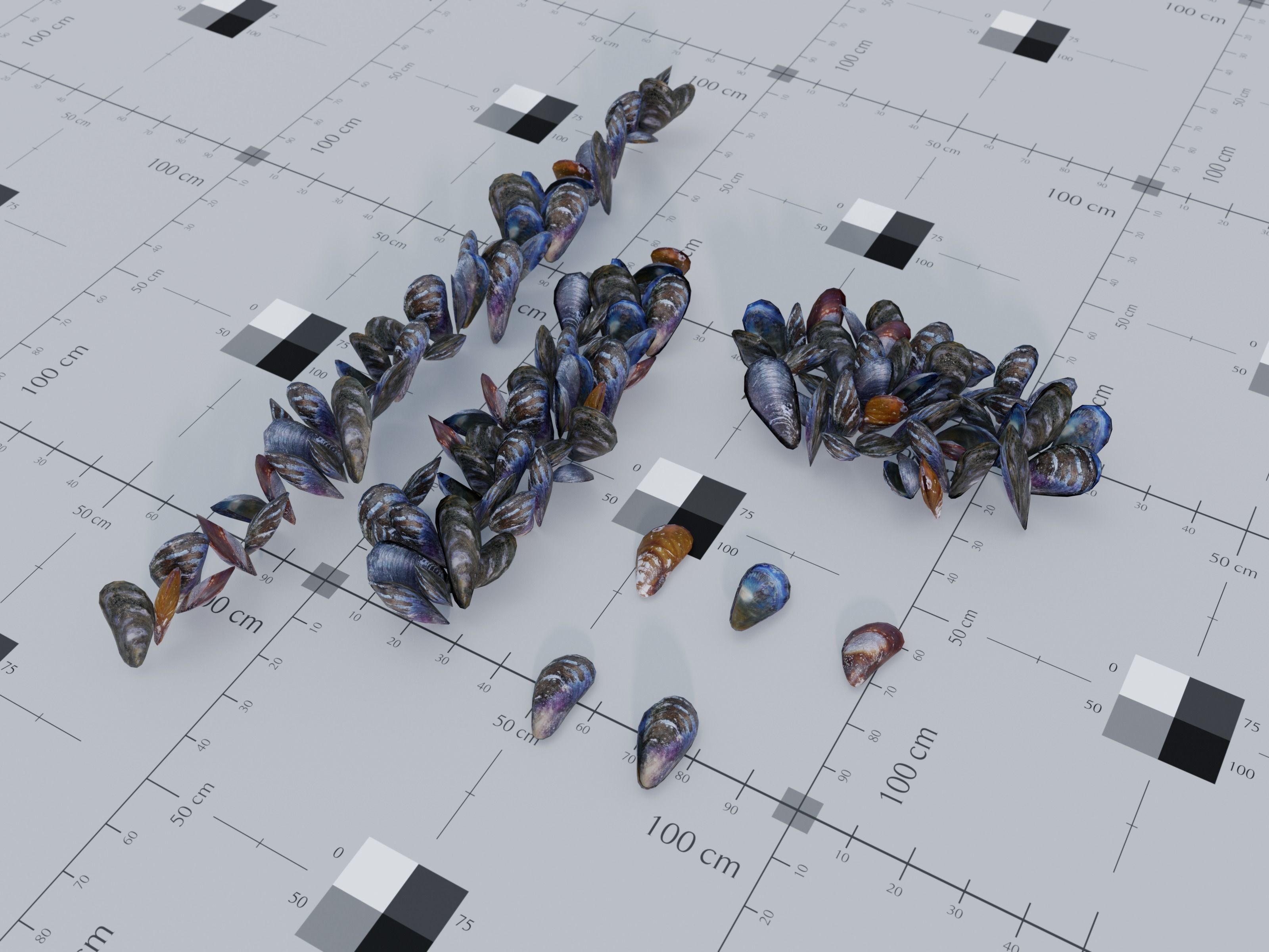 Nature Assets - Marine Biome Low-poly 3D model_21