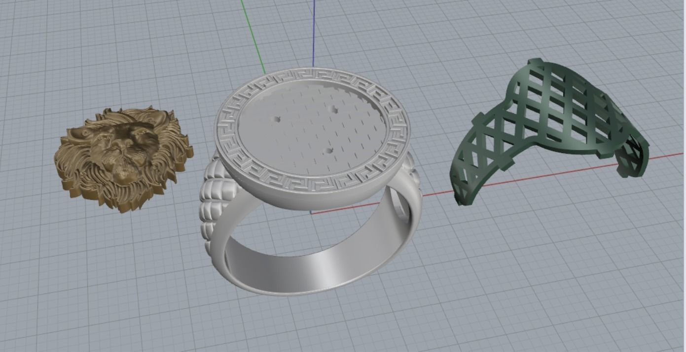 Leo ring 3D print model_19