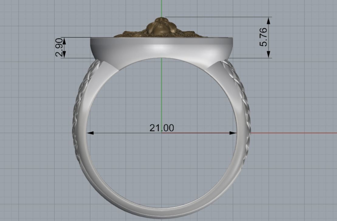 Leo ring 3D print model_16