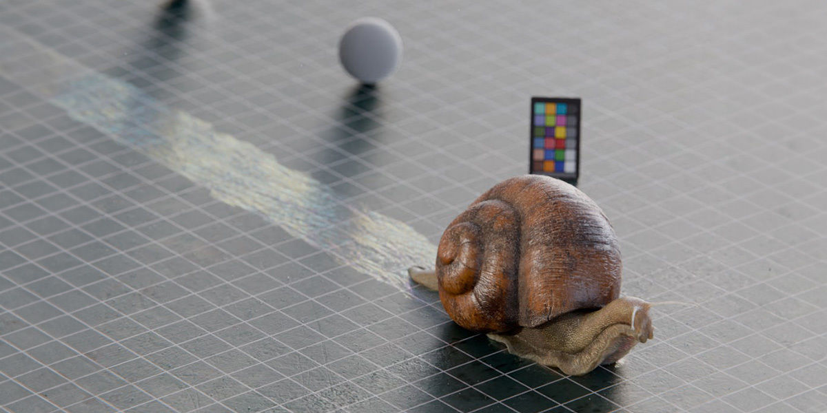 Snail 3D model_2