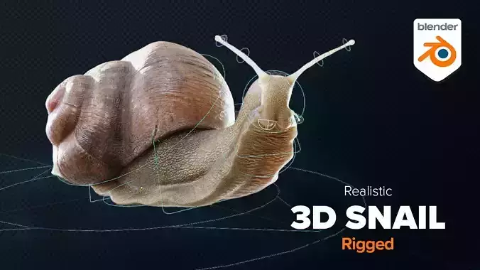 Snail