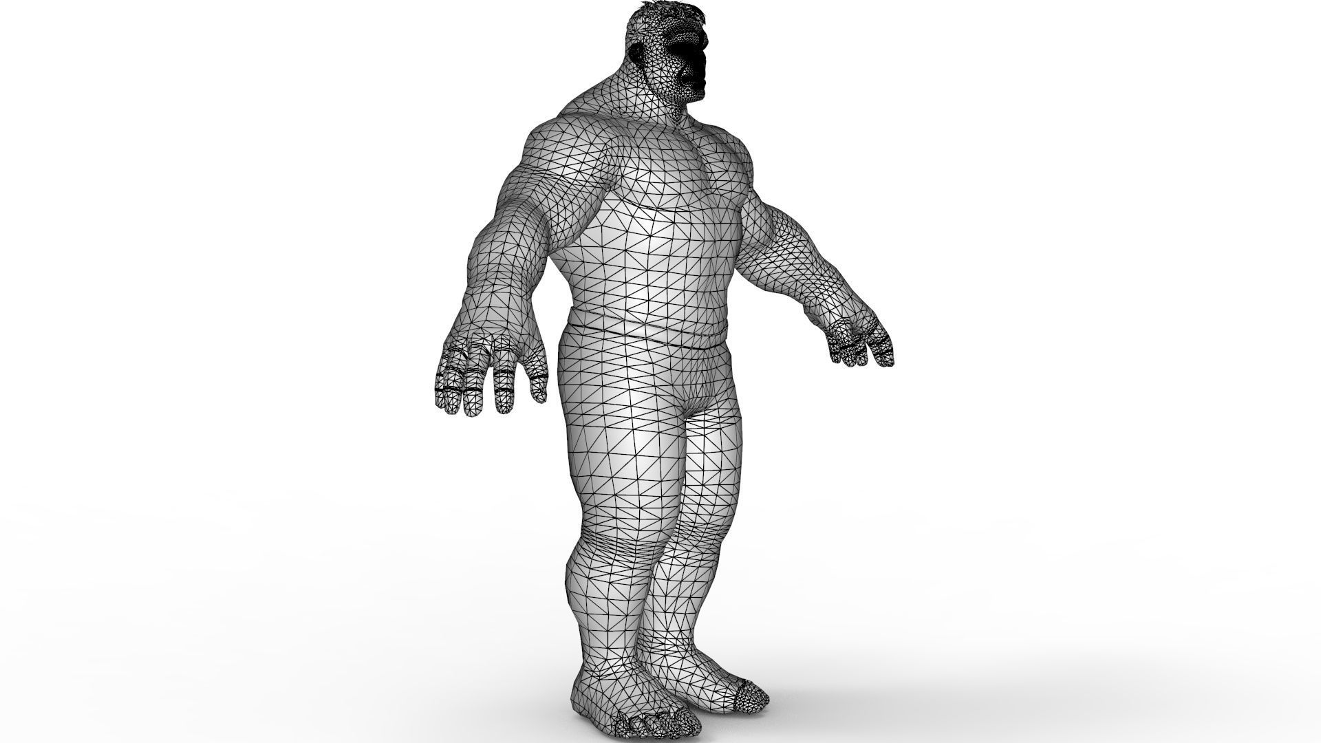 Hulk 3d Print 3D model_10