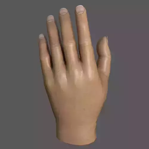 Male Hand Low-poly 3D model