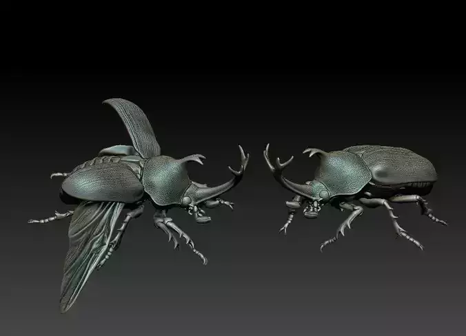 Rhinoceros beetle 3D print model
