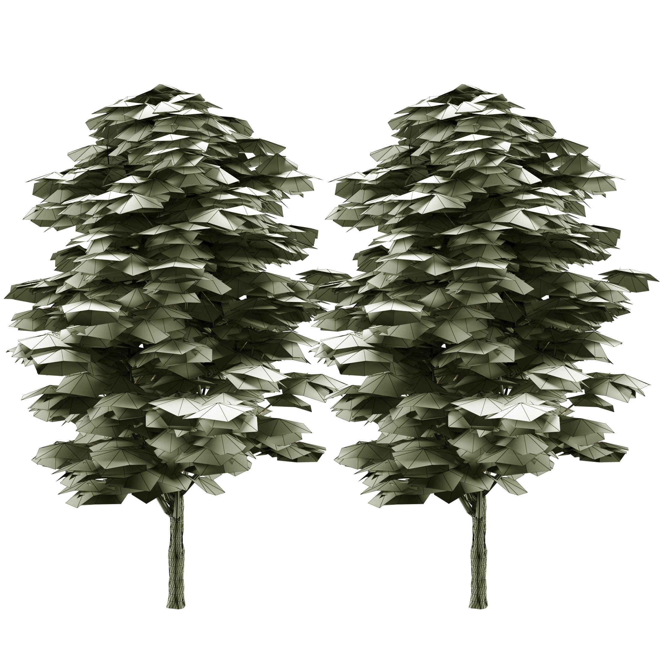 Optimized Grey Poplar trees with free tutorial Low-poly 3D model_7