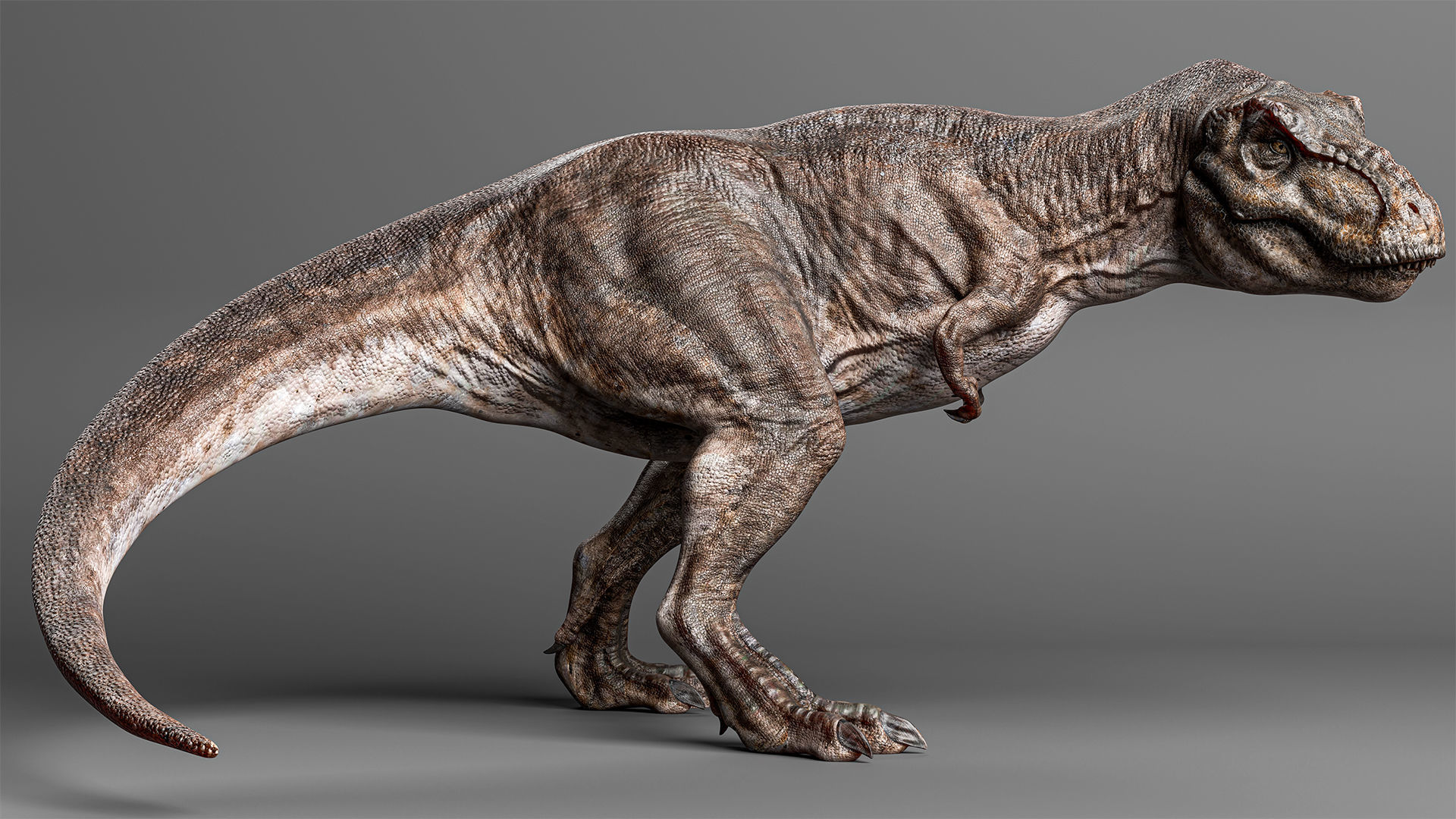 TYRANNOSAURUS REX Low-poly 3D model_3