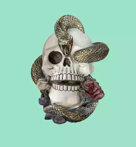 Skull Snake and Roses