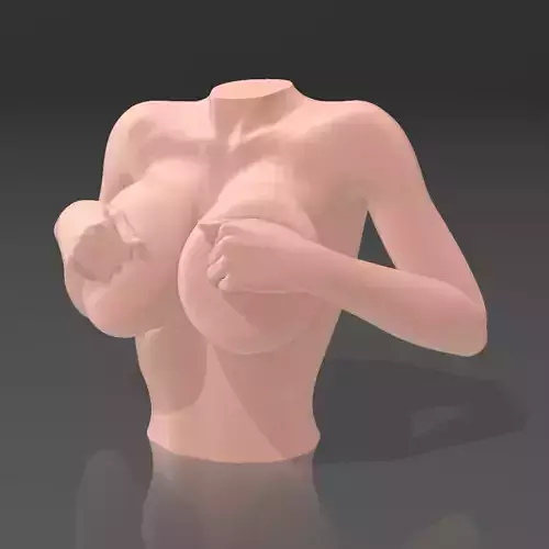 Bust of a Beautifully Shaped Woman - STL 3D Printer