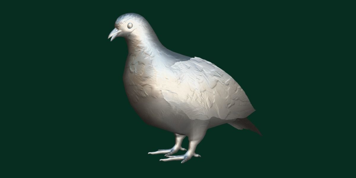 Rock Ptarmigans Bird  Low-poly 3D model_16
