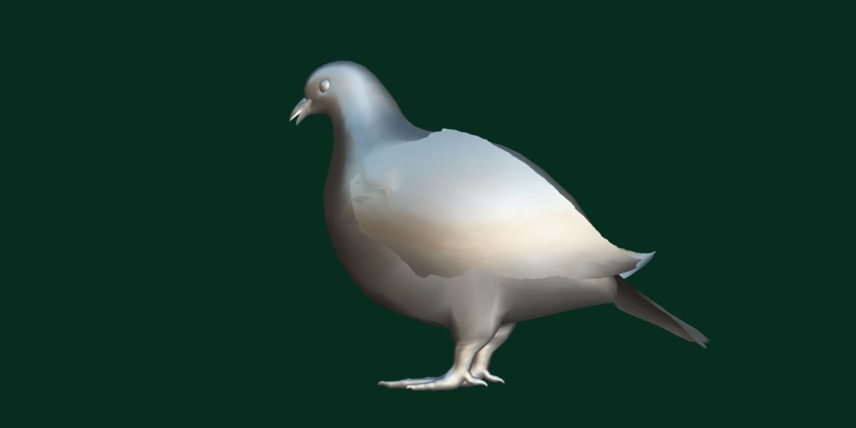Rock Ptarmigans Bird  Low-poly 3D model_15