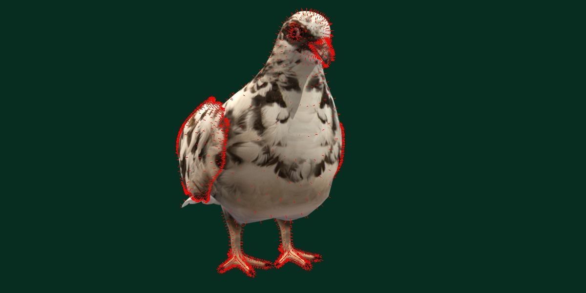 Rock Ptarmigans Bird  Low-poly 3D model_18