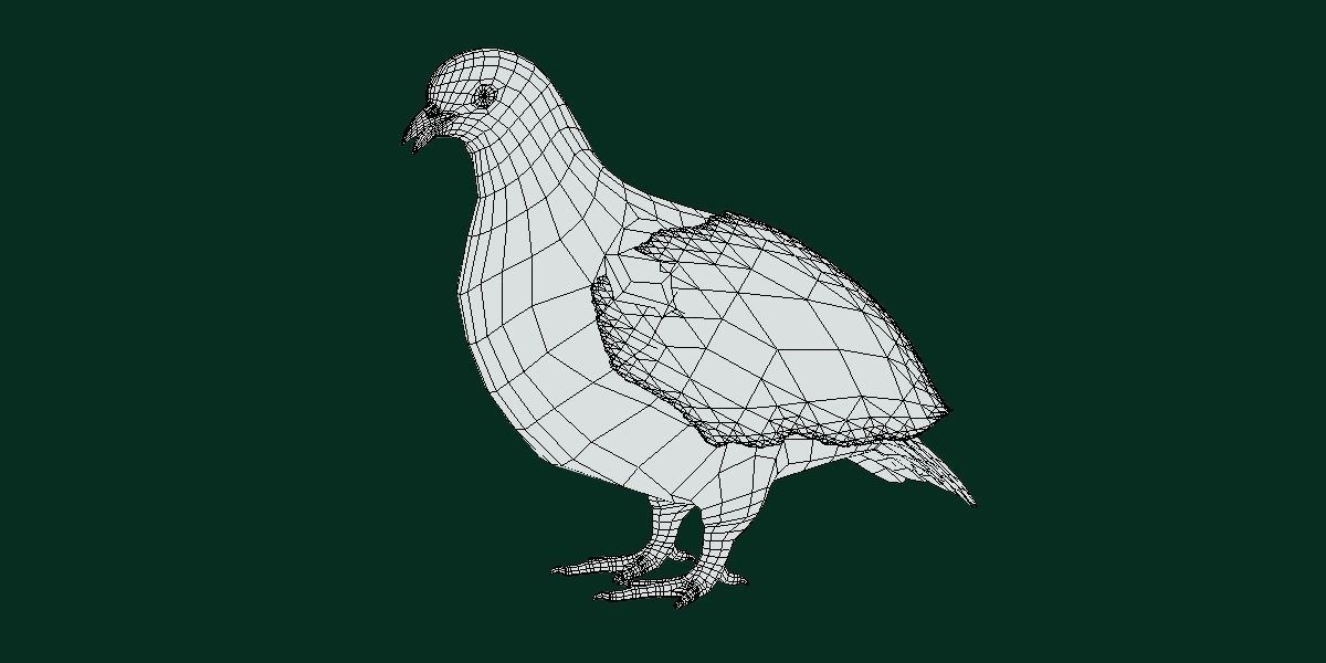 Rock Ptarmigans Bird  Low-poly 3D model_13