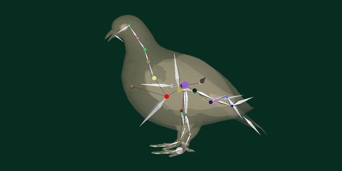 Rock Ptarmigans Bird  Low-poly 3D model_5