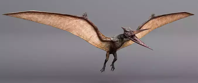 PTERANODON Low-poly 3D model
