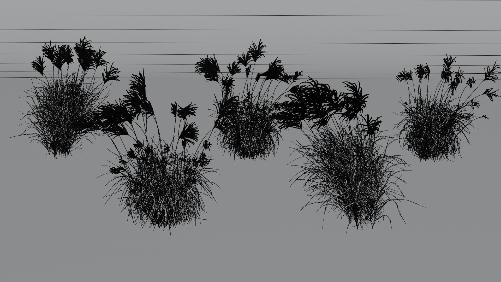 Miscanthus Sinensis 3D model_6