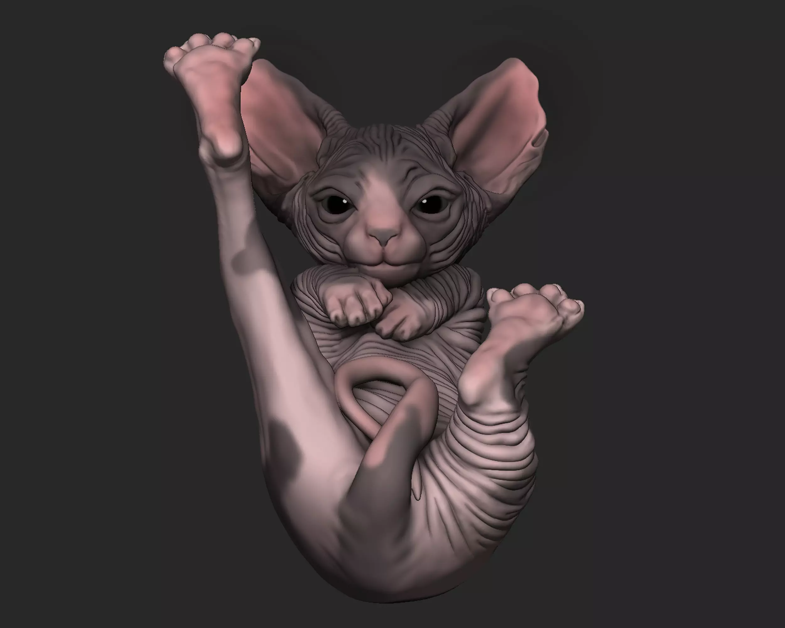 Baby Sphynx Cat 3D print model_0