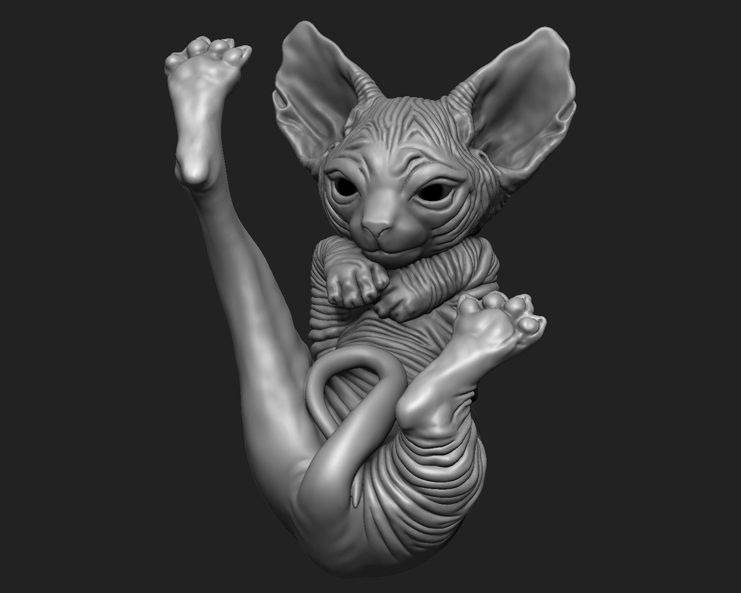 Baby Sphynx Cat 3D print model_6