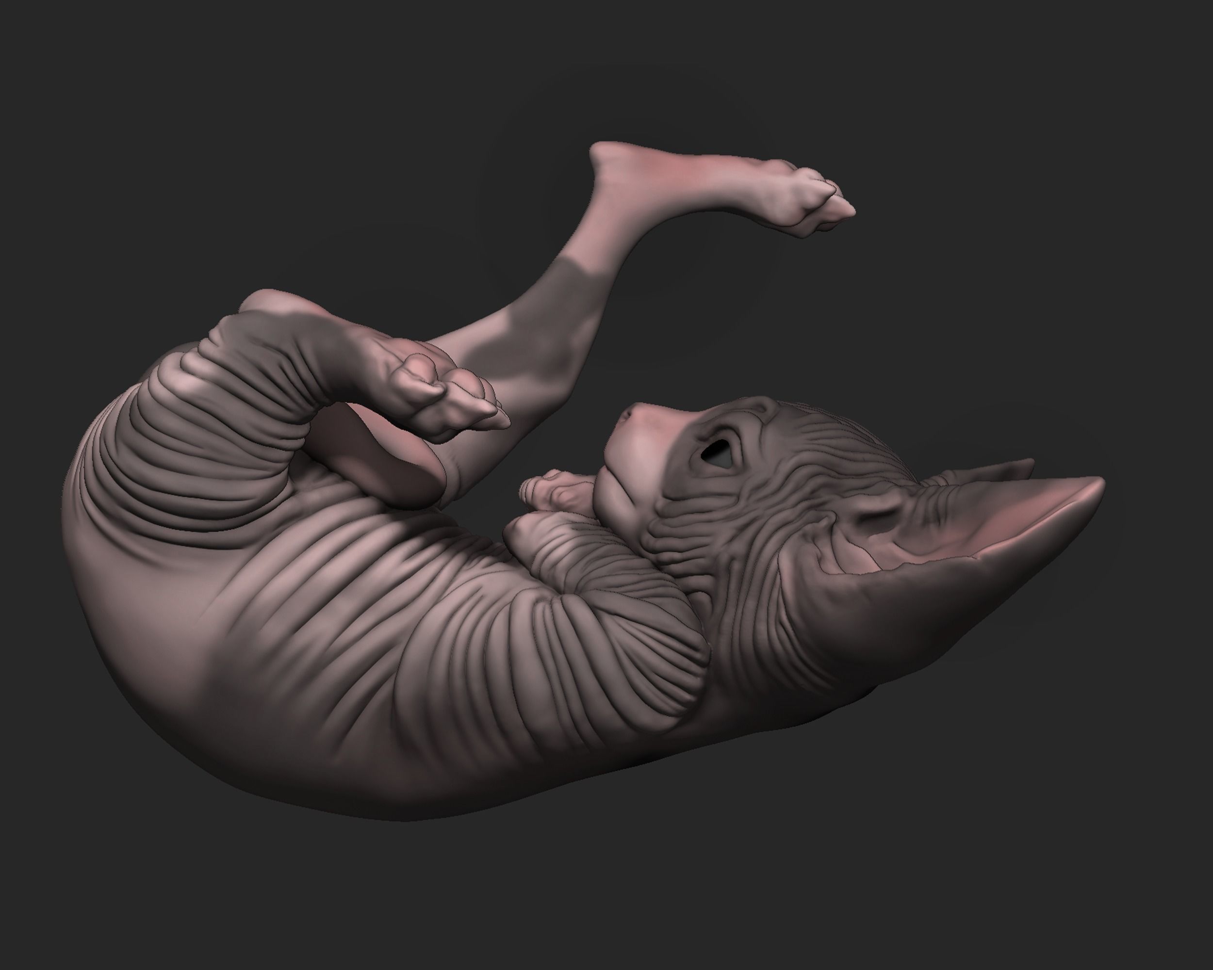 Baby Sphynx Cat 3D print model_2