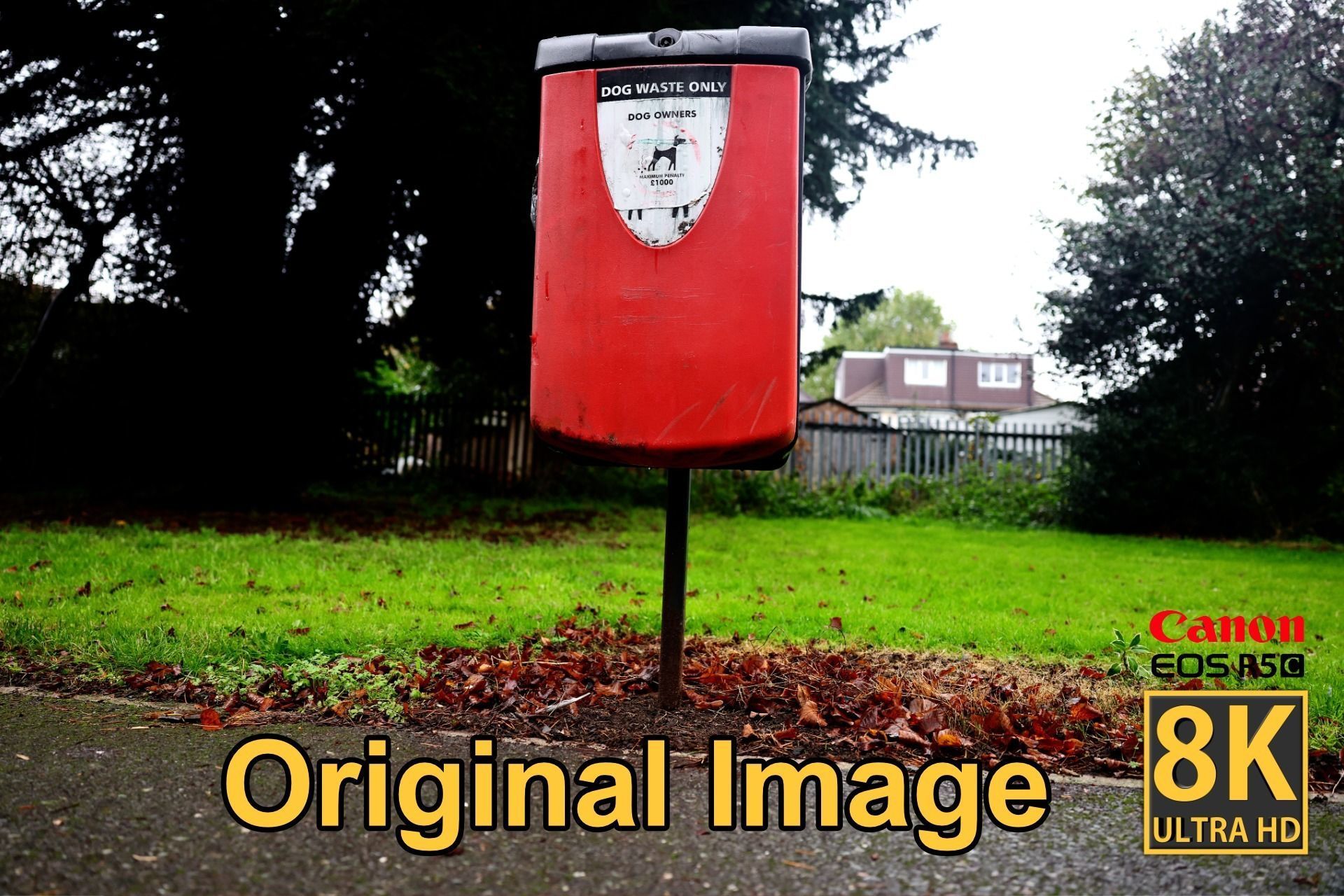 Park Dog Bin - 8K UHD - 3D Scan Model Low-poly 3D model_4