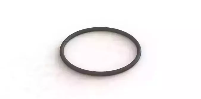 O Ring Vedabras 12905