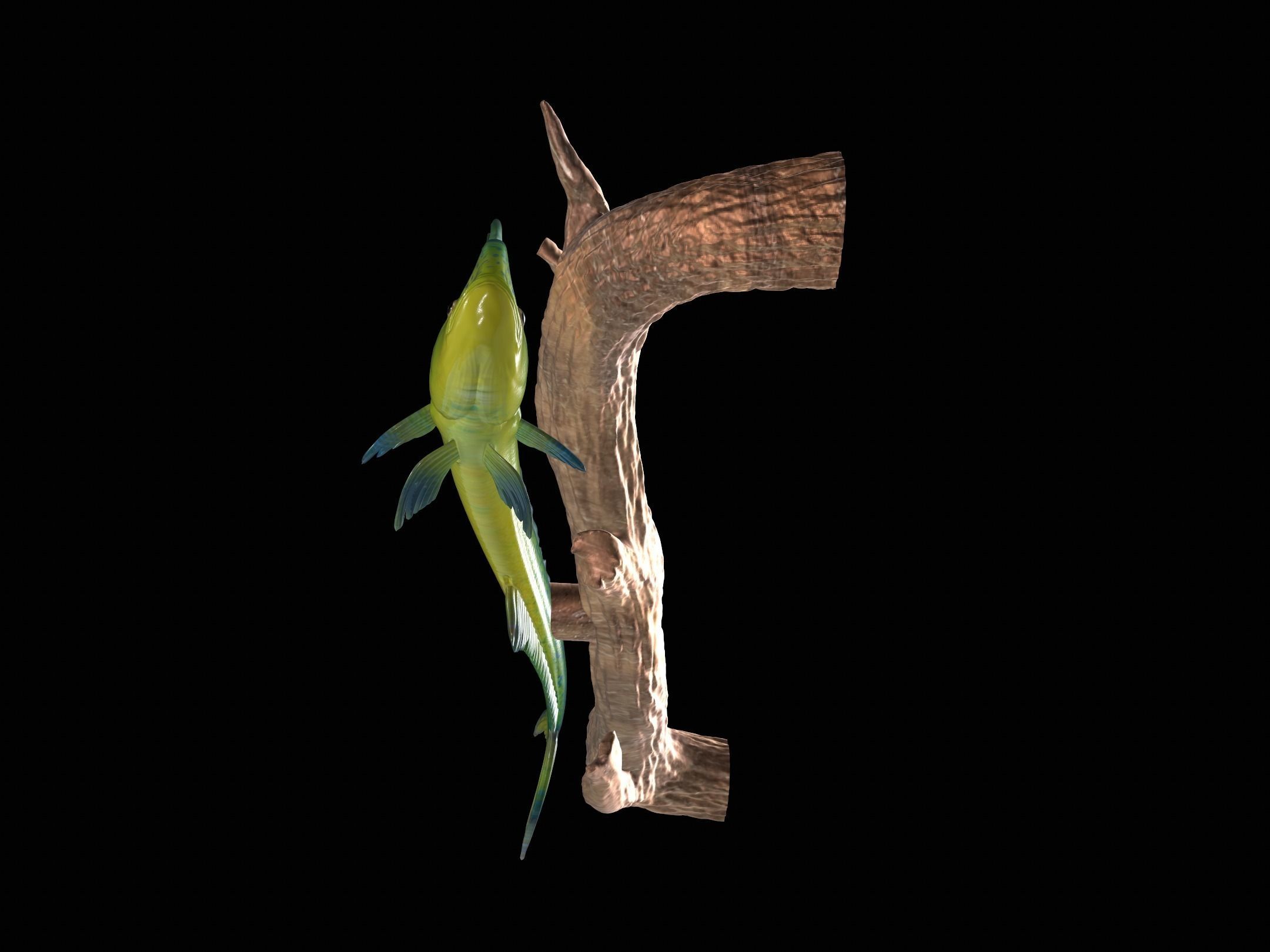 MAHI MAHI UNDERWATER STATUE ON THE WALL DETAILED TEXTURE  3D print model_10