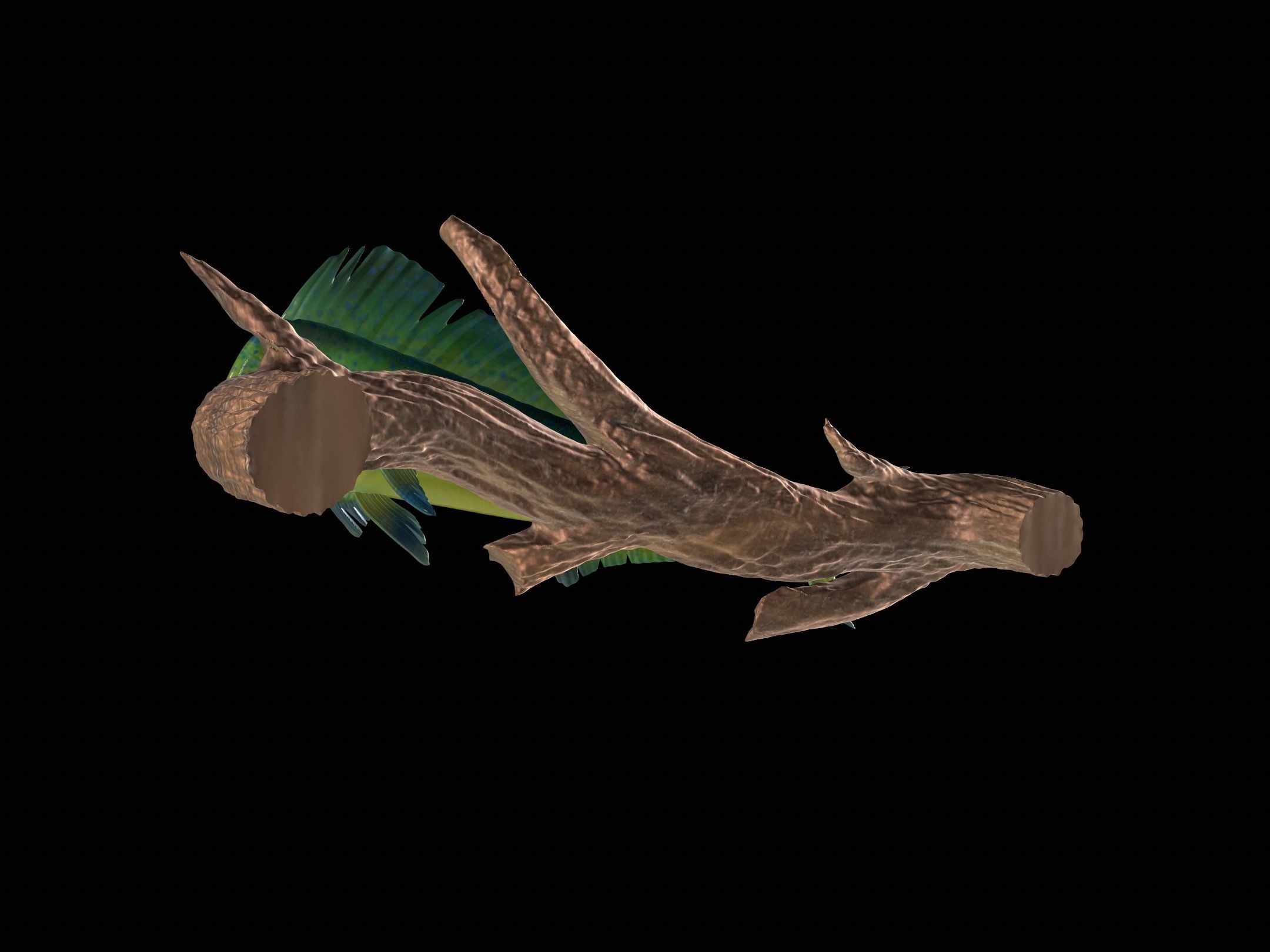 MAHI MAHI UNDERWATER STATUE ON THE WALL DETAILED TEXTURE  3D print model_12