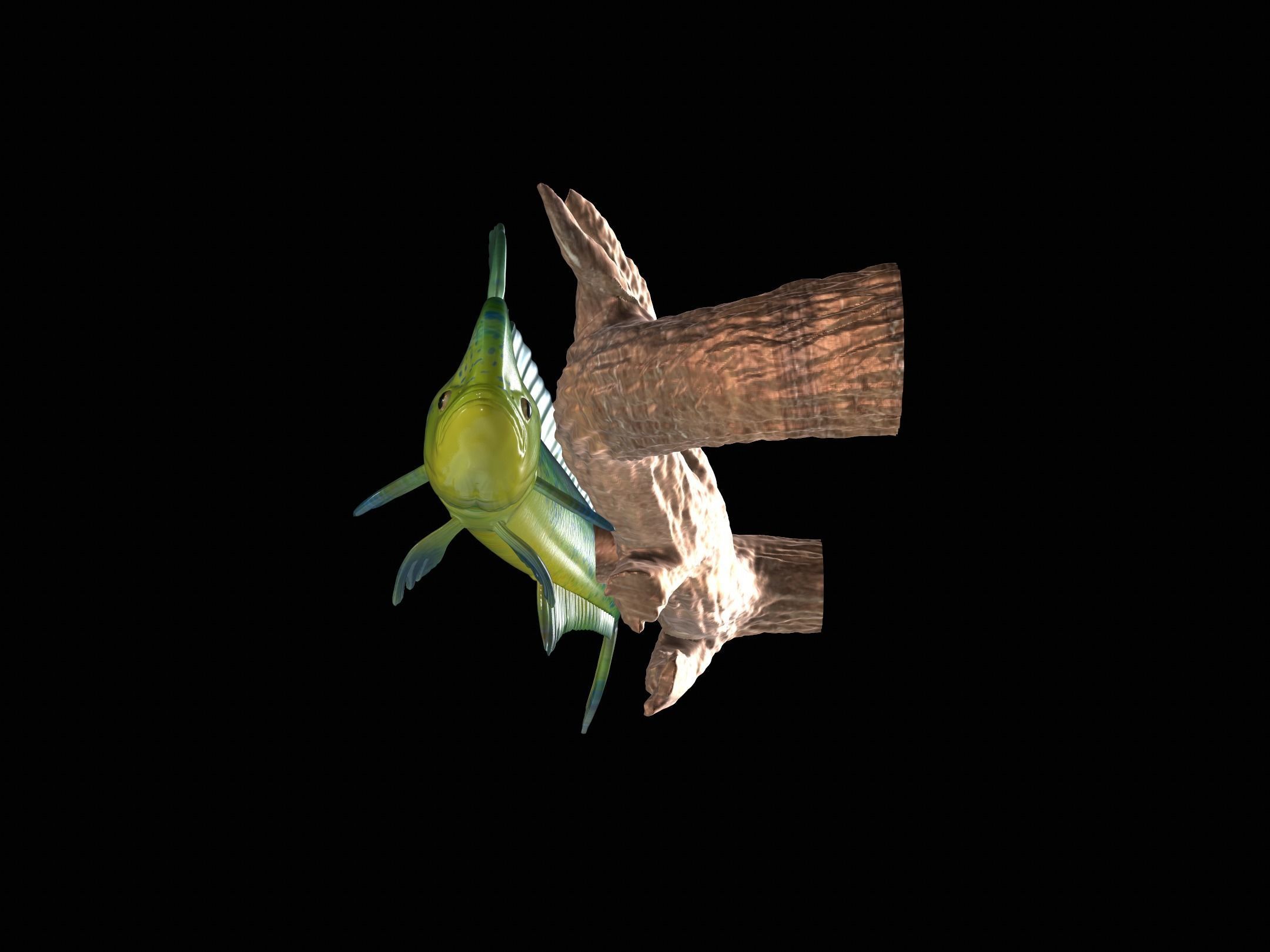 MAHI MAHI UNDERWATER STATUE ON THE WALL DETAILED TEXTURE  3D print model_4