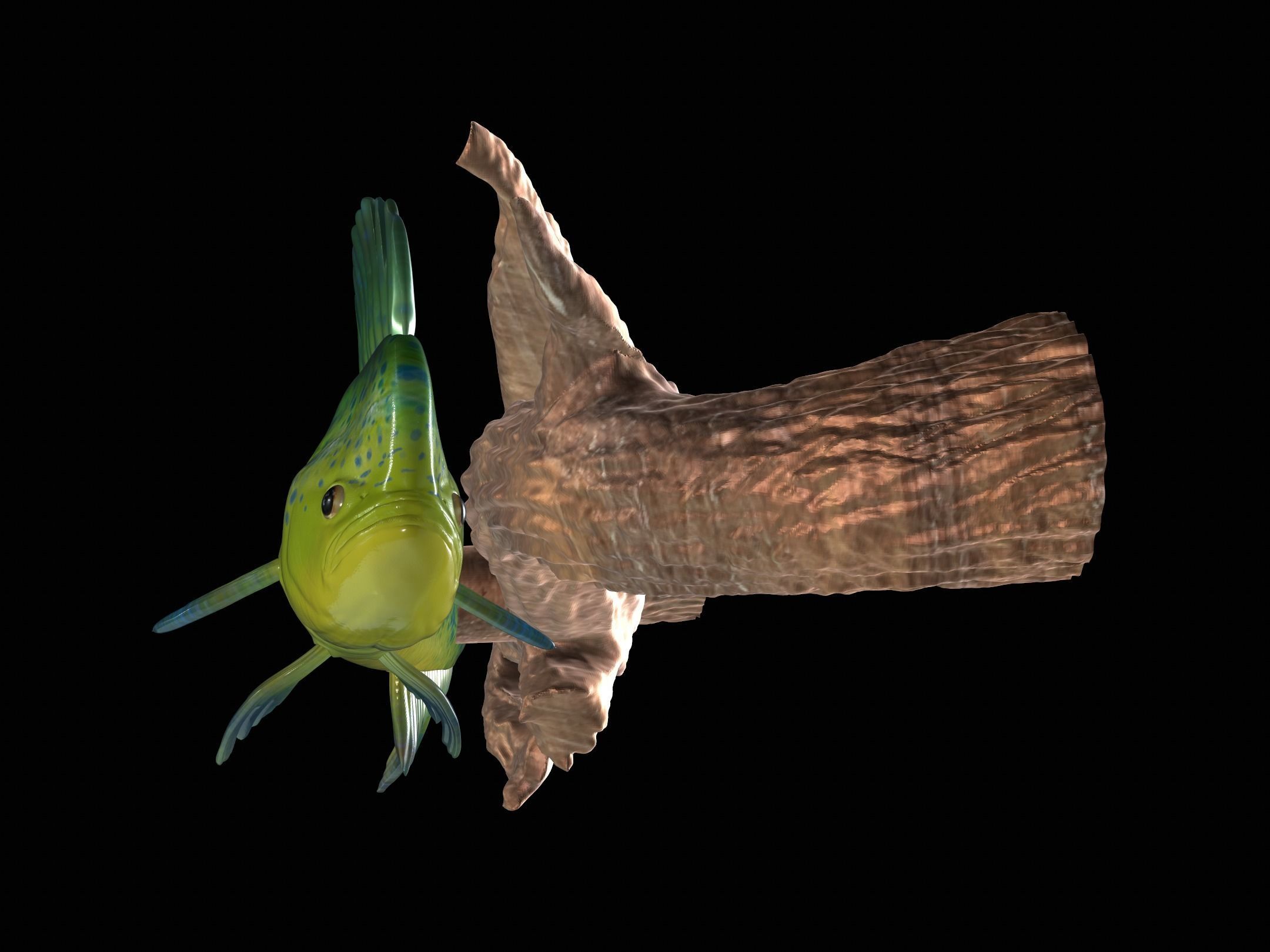 MAHI MAHI UNDERWATER STATUE ON THE WALL DETAILED TEXTURE  3D print model_3