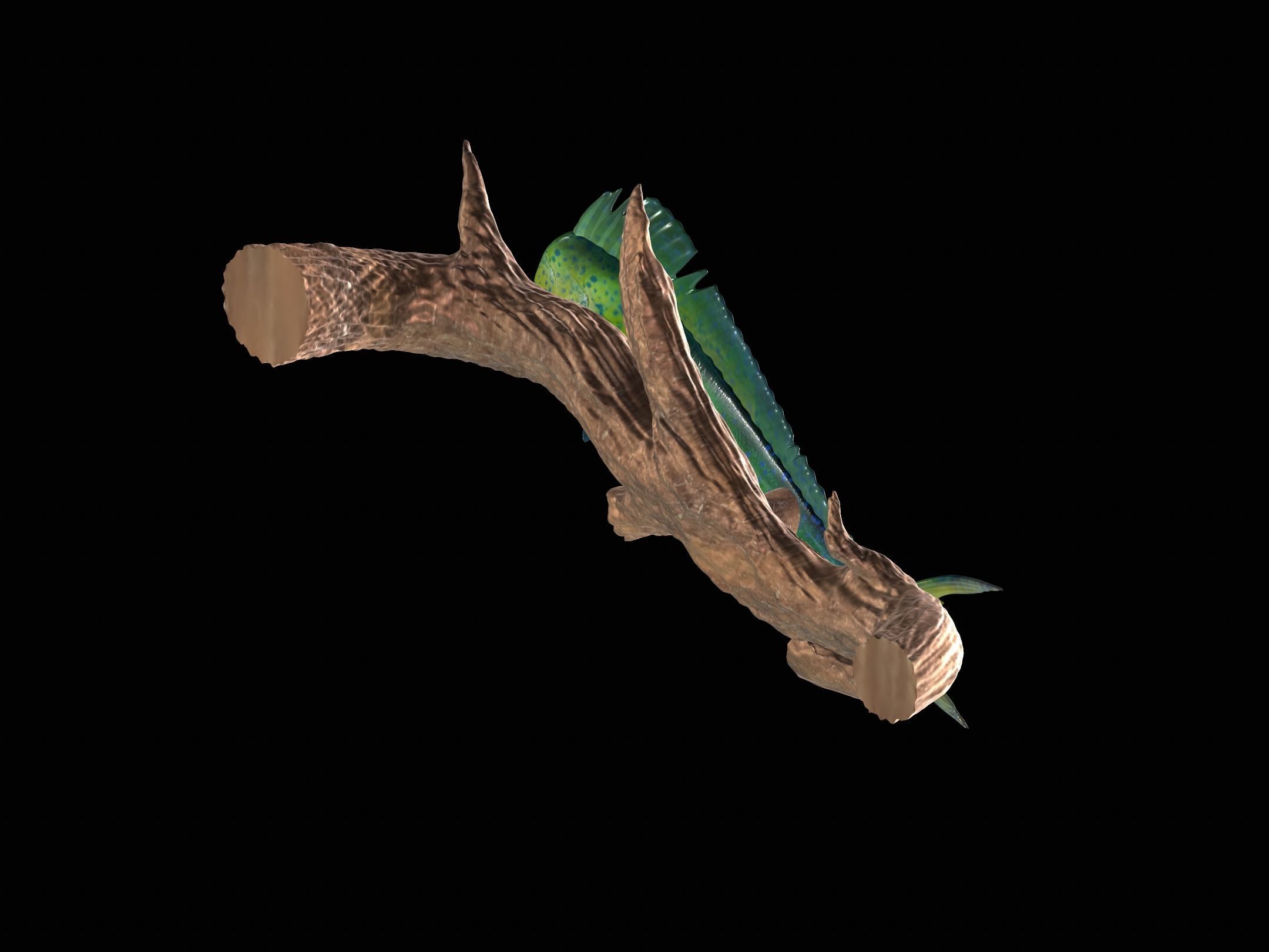 MAHI MAHI UNDERWATER STATUE ON THE WALL DETAILED TEXTURE  3D print model_7