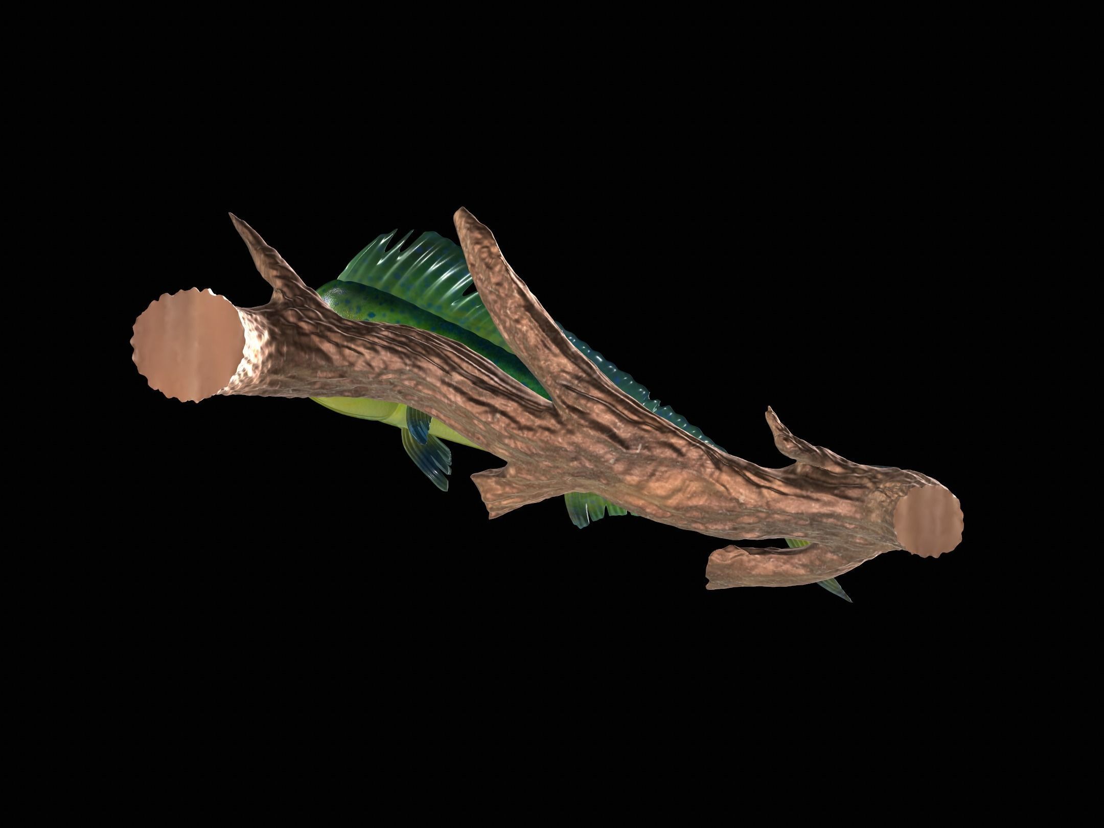 MAHI MAHI UNDERWATER STATUE ON THE WALL DETAILED TEXTURE  3D print model_6