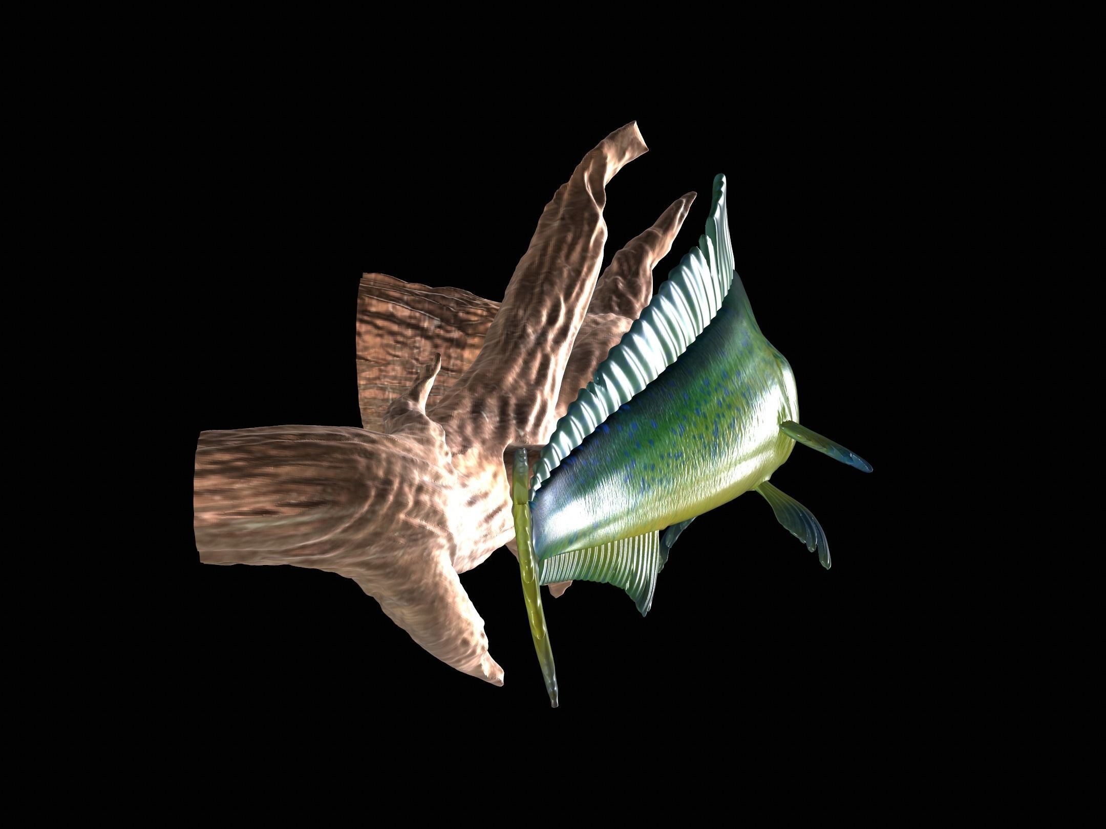 MAHI MAHI UNDERWATER STATUE ON THE WALL DETAILED TEXTURE  3D print model_9