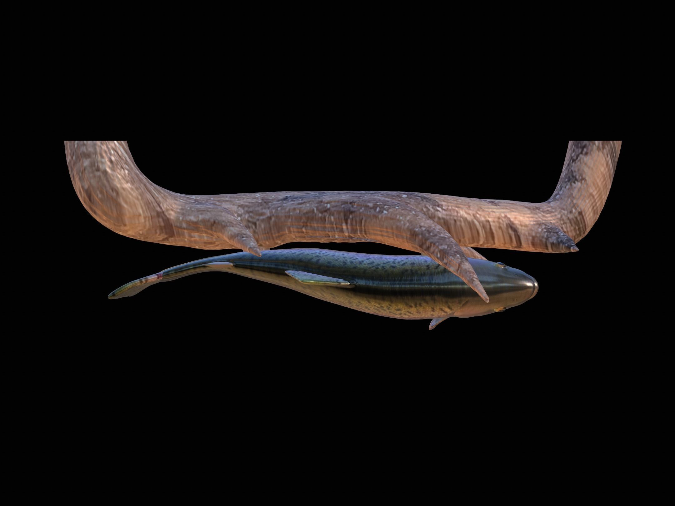 RAINBOW UNDERWATER STATUE ON THE WALL DETAILED TEXTURE 3D print model_9